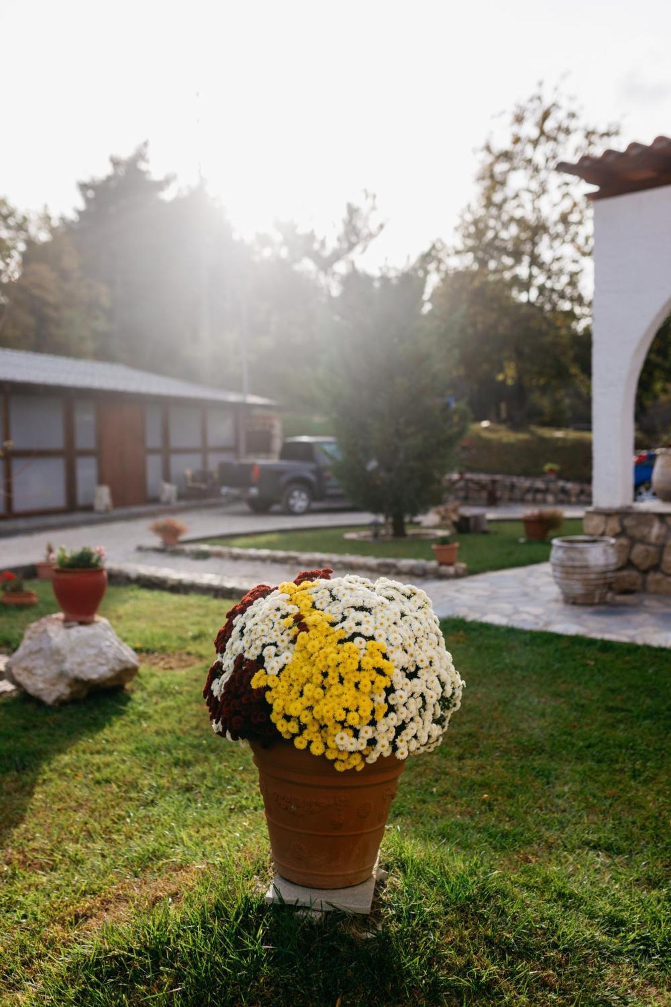 Apolithomeno Dasos Holiday Villas Near Alexandroupolis Lefkimmi  ภายนอก รูปภาพ